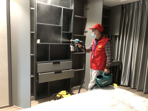 专业除甲醛服务